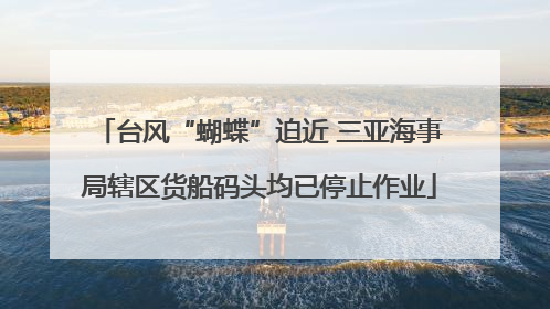 台风“蝴蝶”迫近 三亚海事局辖区货船码头均已停止作业