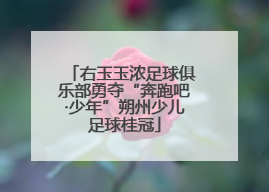 右玉玉浓足球俱乐部勇夺“奔跑吧·少年”朔州少儿足球桂冠