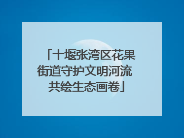 十堰张湾区花果街道守护文明河流 共绘生态画卷