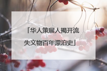 华人策展人揭开流失文物百年漂泊史