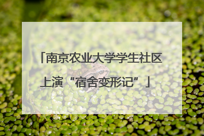 南京农业大学学生社区上演“宿舍变形记”
