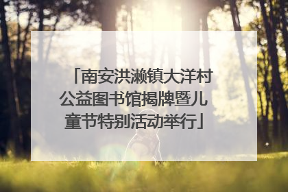 南安洪濑镇大洋村公益图书馆揭牌暨儿童节特别活动举行