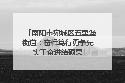 南阳市宛城区五里堡街道：奋楫笃行勇争先 实干奋进结硕果