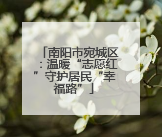 南阳市宛城区：温暖“志愿红”守护居民“幸福路”
