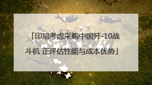 印尼考虑采购中国歼-10战斗机 正评估性能与成本优势