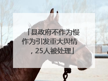 县政府不作为慢作为引发重大舆情，25人被处理