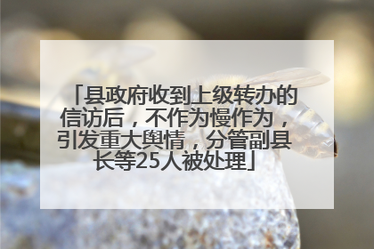 县政府收到上级转办的信访后，不作为慢作为，引发重大舆情，分管副县长等25人被处理