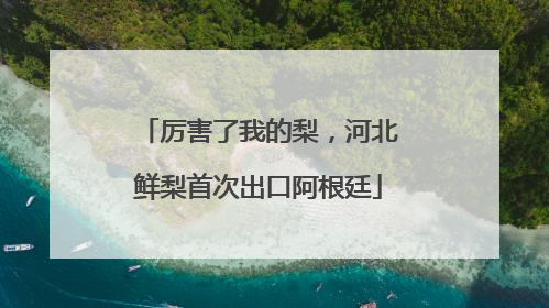 厉害了我的梨，河北鲜梨首次出口阿根廷
