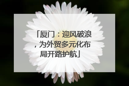 厦门：迎风破浪，为外贸多元化布局开路护航