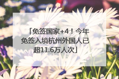免签国家+4！今年免签入境杭州外国人已超11.6万人次
