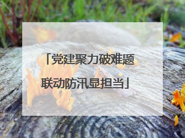 党建聚力破难题 联动防汛显担当