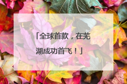 全球首款，在芜湖成功首飞！