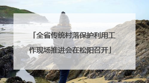 全省传统村落保护利用工作现场推进会在松阳召开