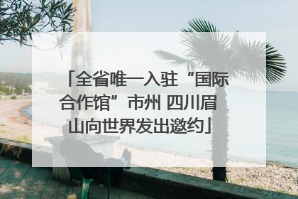 全省唯一入驻“国际合作馆”市州 四川眉山向世界发出邀约