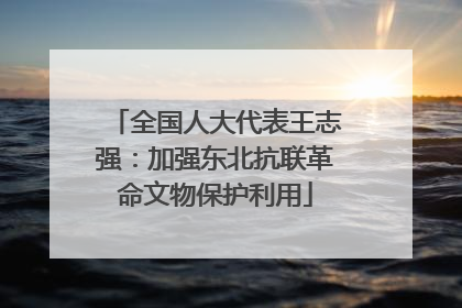 全国人大代表王志强：加强东北抗联革命文物保护利用