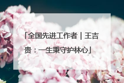全国先进工作者｜王吉贵：一生秉守护林心