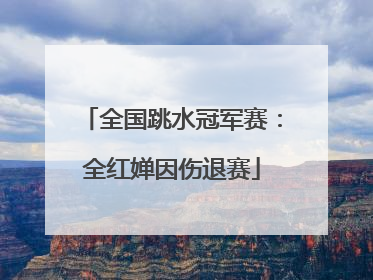 全国跳水冠军赛：全红婵因伤退赛