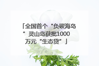 全国首个“负碳海岛”灵山岛获批1000万元“生态贷”