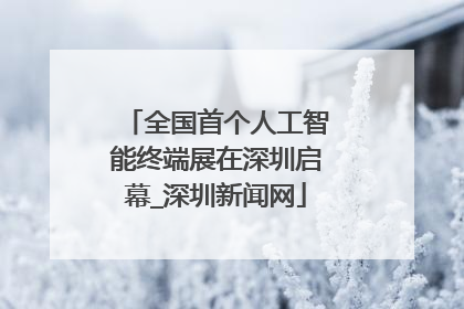 全国首个人工智能终端展在深圳启幕_深圳新闻网