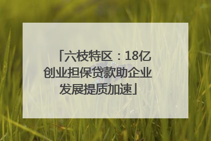 六枝特区：18亿创业担保贷款助企业发展提质加速