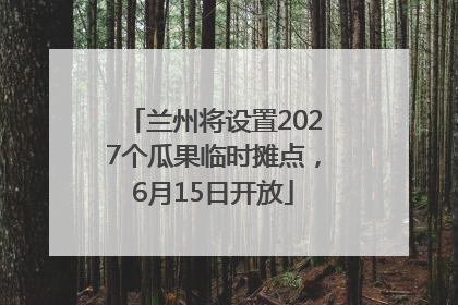 兰州将设置2027个瓜果临时摊点，6月15日开放