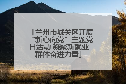 兰州市城关区开展“新心向党”主题党日活动 凝聚新就业群体奋进力量