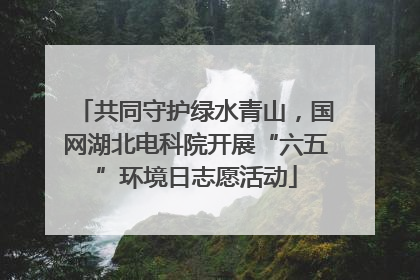 共同守护绿水青山，国网湖北电科院开展“六五”环境日志愿活动