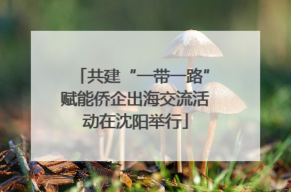共建“一带一路”赋能侨企出海交流活动在沈阳举行