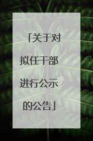 关于对拟任干部进行公示的公告