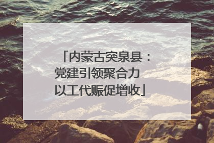 内蒙古突泉县：党建引领聚合力 以工代赈促增收