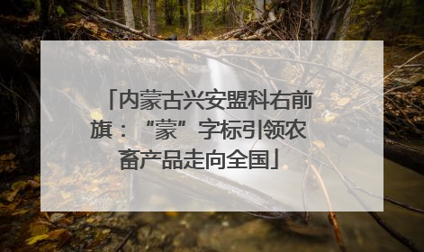 内蒙古兴安盟科右前旗：“蒙”字标引领农畜产品走向全国