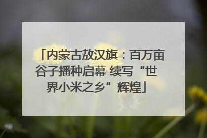 内蒙古敖汉旗：百万亩谷子播种启幕 续写“世界小米之乡”辉煌