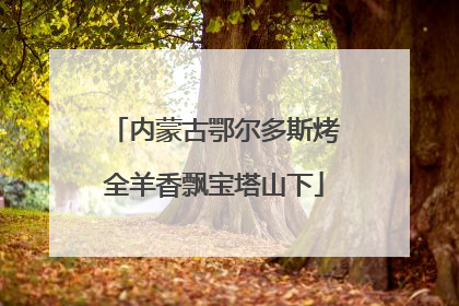 内蒙古鄂尔多斯烤全羊香飘宝塔山下