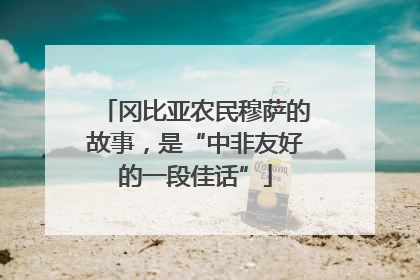 冈比亚农民穆萨的故事，是“中非友好的一段佳话”