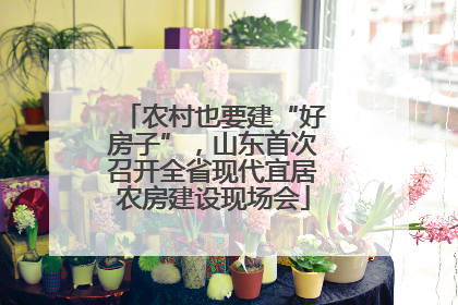 农村也要建“好房子”，山东首次召开全省现代宜居农房建设现场会