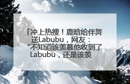 冲上热搜！鹿晗给伴舞送Labubu，网友：“不知道该羡慕他收到了Labubu，还是该羡慕鹿晗送他礼物”
