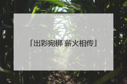 出彩宛梆 薪火相传