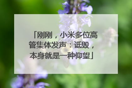 刚刚，小米多位高管集体发声：诋毁，本身就是一种仰望