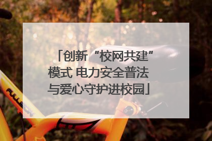 创新“校网共建”模式 电力安全普法与爱心守护进校园