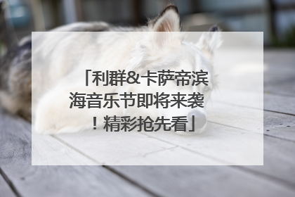 利群&卡萨帝滨海音乐节即将来袭！精彩抢先看