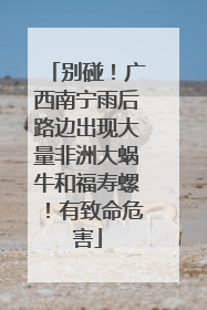 别碰！广西南宁雨后路边出现大量非洲大蜗牛和福寿螺！有致命危害