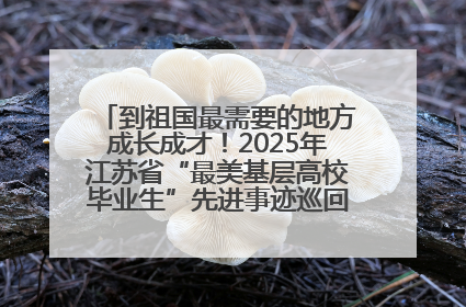 到祖国最需要的地方成长成才！2025年江苏省“最美基层高校毕业生”先进事迹巡回宣讲会在宁启动