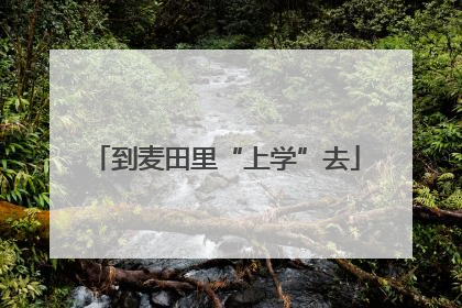 到麦田里“上学”去