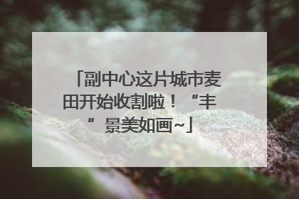 副中心这片城市麦田开始收割啦！“丰”景美如画~