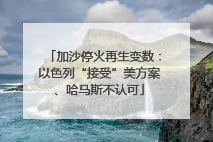加沙停火再生变数：以色列“接受”美方案、哈马斯不认可