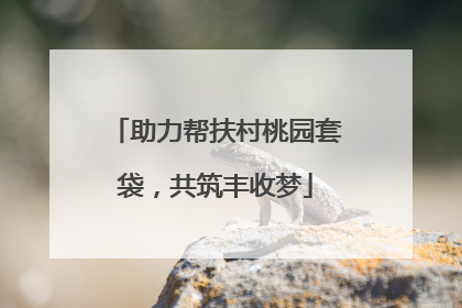 助力帮扶村桃园套袋，共筑丰收梦