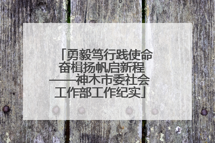 勇毅笃行践使命 奋楫扬帆启新程——神木市委社会工作部工作纪实