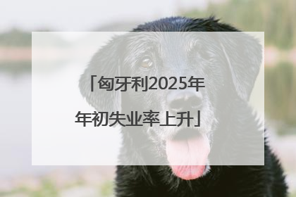 匈牙利2025年年初失业率上升