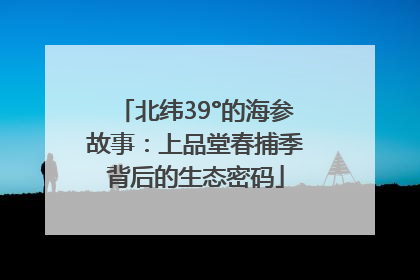 北纬39°的海参故事：上品堂春捕季背后的生态密码