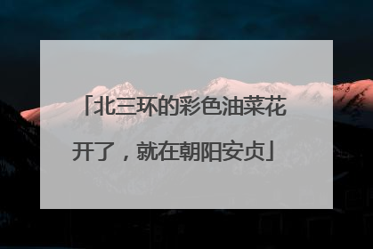 北三环的彩色油菜花开了，就在朝阳安贞